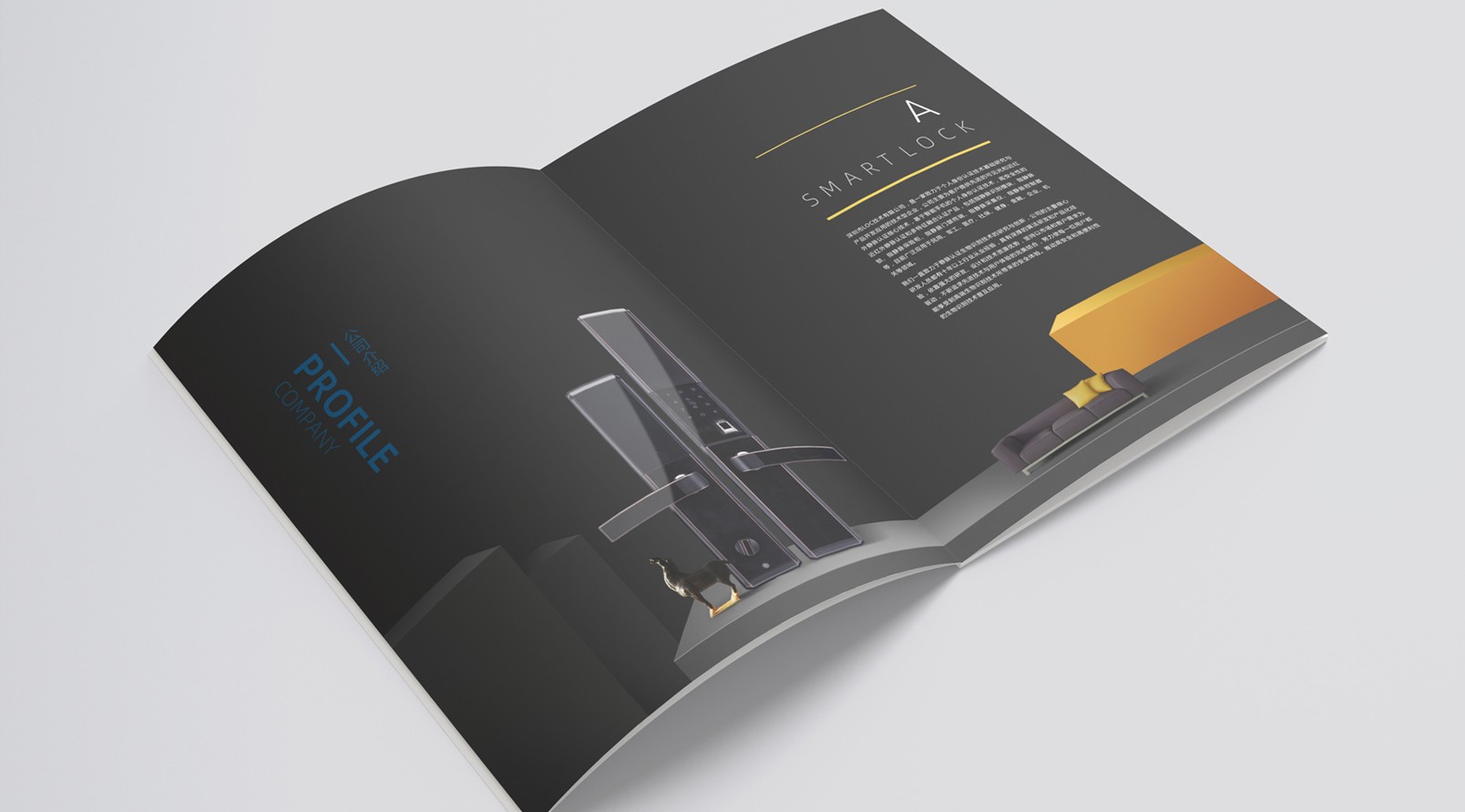 鎖業(yè)公司產(chǎn)品畫冊設(shè)計
