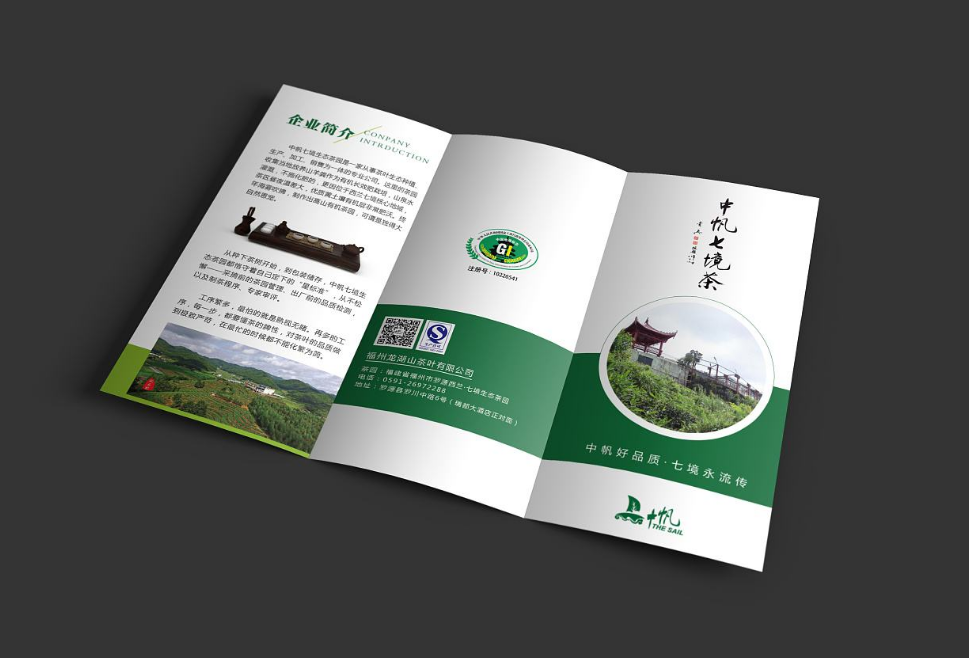 東莞企業(yè)宣傳三折頁(yè)設(shè)計(jì) 東莞企業(yè)宣傳三折頁(yè)設(shè)計(jì)
